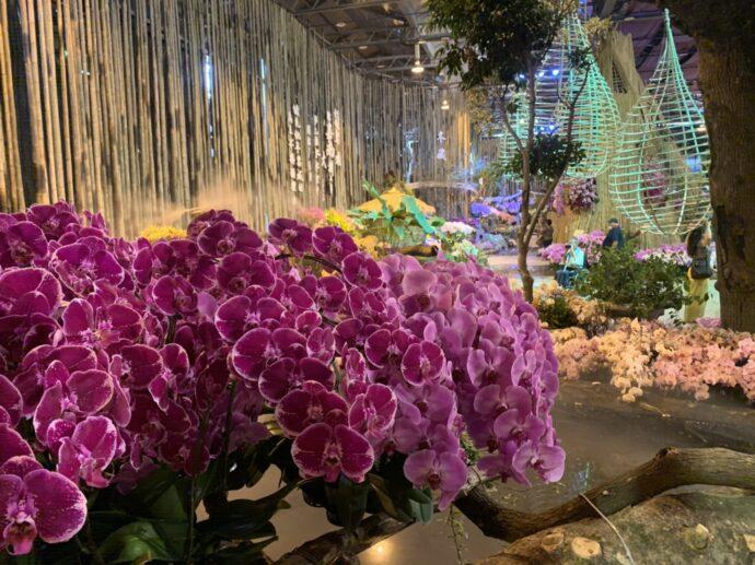 「宏祥旅遊」春季旅展線上提前開跑，帶您走入台灣花花世界