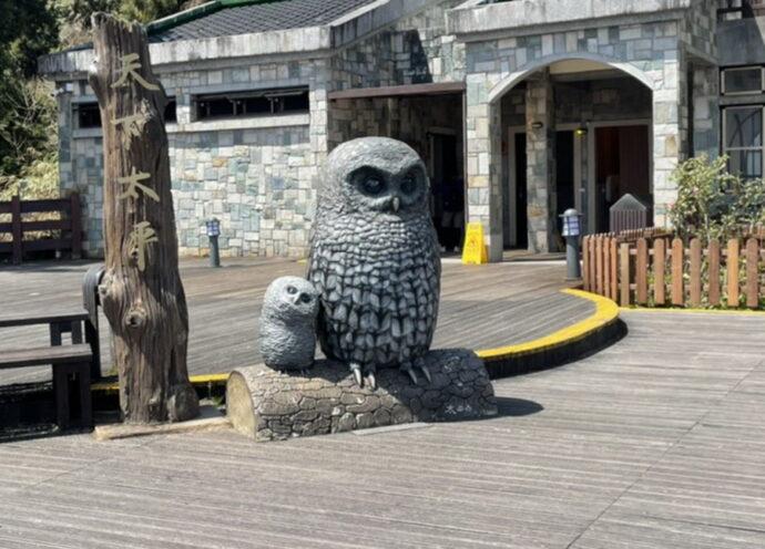 太平山今年夜探貓頭鷹將啟動 限定3場次