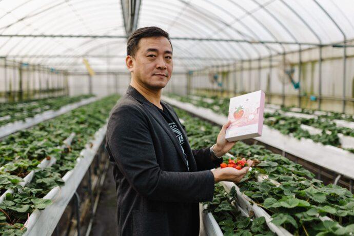 林口青農徐鼎鈞 研發有機草莓面膜創造草莓新價值