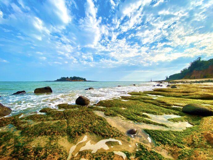 金門縣府至高雄巨蛋國際旅展，推廣浯島城隍文化觀光季、藍眼淚