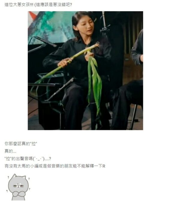 慶太馬開跑!蔬果樂團演奏吸萬人點閱 網笑:想學音樂先學買菜 慶太馬開跑!蔬果樂團演奏吸萬人點閱 網笑:想學音樂先學買菜