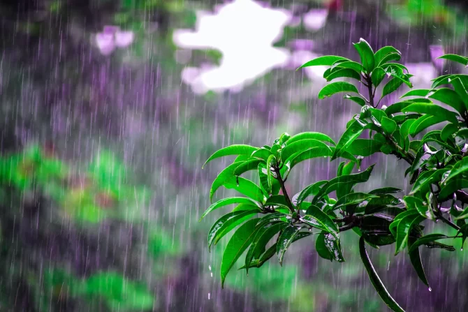 雨衣有跟沒有一樣？下雨騎車「裡面全濕」超崩潰　內行人曝超乾穿法 - 台北郵報 | The Taipei Post