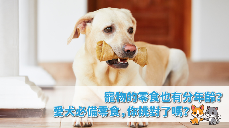 工作區域 7 100