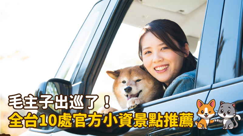 工作區域 8 100 10