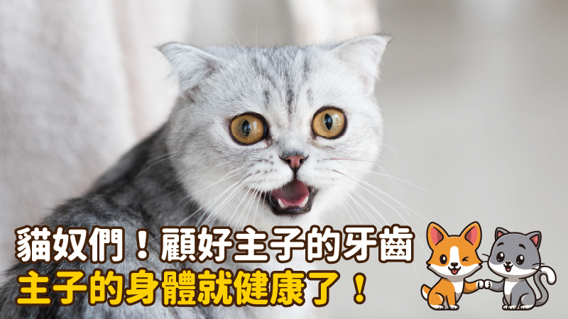 工作區域 8 100 4