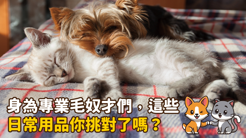 工作區域 8 100 5