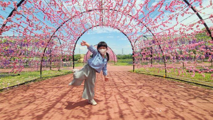 新北河濱蝶戀季　讓你不出國也能環遊世界　4/23粉墨登場！！