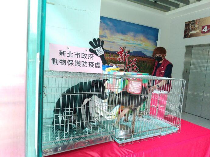 新北動保處再度攜手裕民圖書館，國際寵物日舉辦犬貓認養