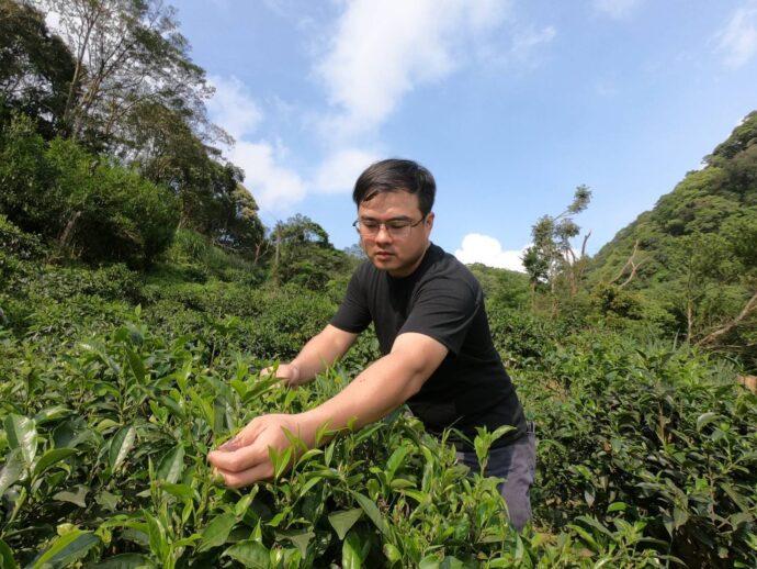 三峽好茶飄香國際 青農陳宣和傳承3代茶廠