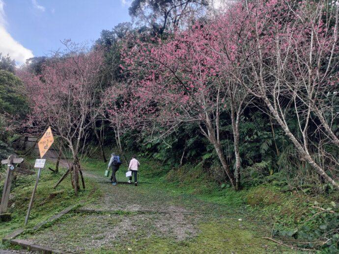 新北石碇二格公園 遠離塵囂賞景好去處