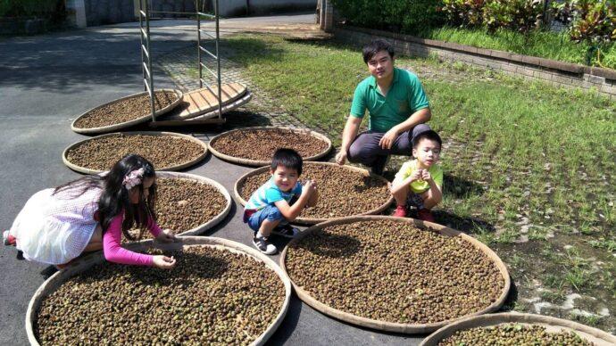 三峽好茶飄香國際 青農陳宣和傳承3代茶廠