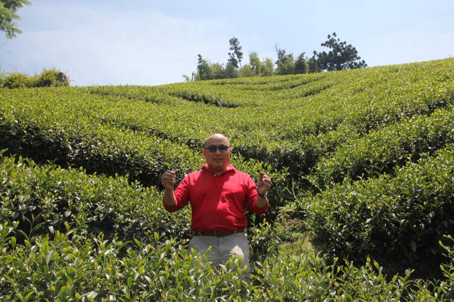 TEA TOP高山青月銷30萬杯 一斤1600元茶葉當手搖飲賣