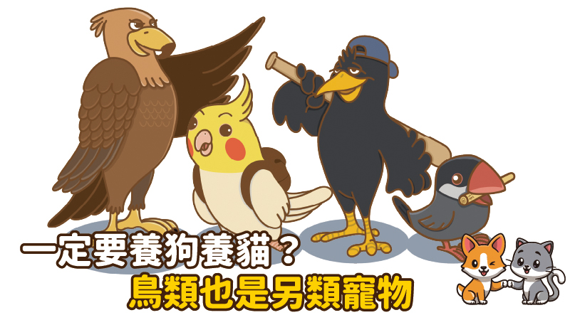 一定要養狗養貓？鳥類也是另類寵物 - 台北郵報 | The Taipei Post