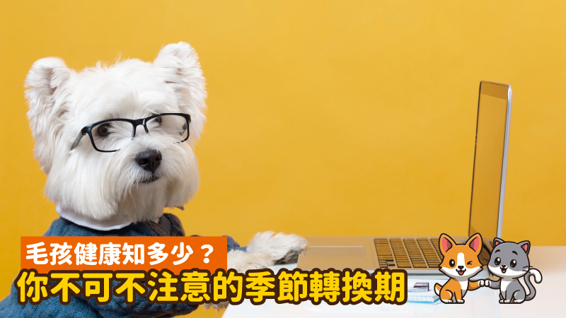 工作區域 8 100 2