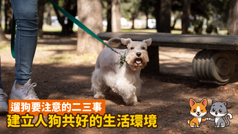 工作區域8 8 100
