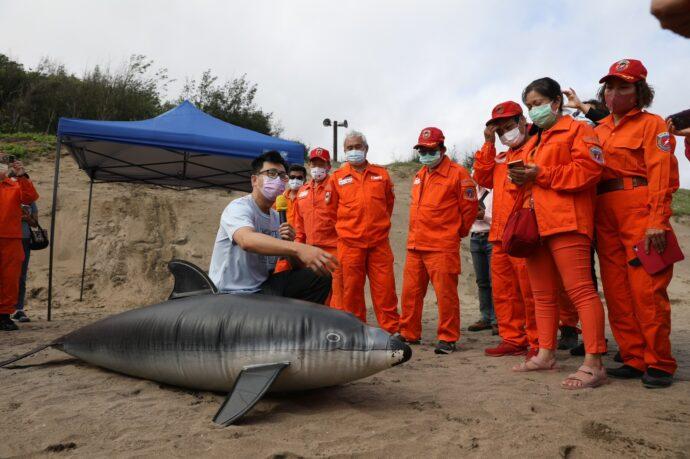 海龜歸海 新北藍海先鋒隊讓愛游出
