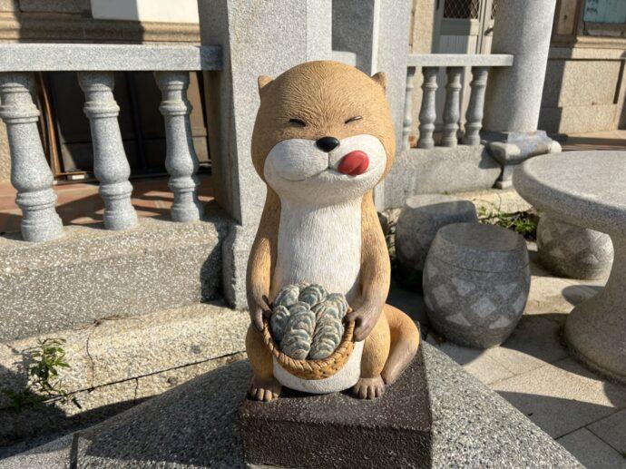 世界水獺日 金門縣政府邀民眾一同關注水獺保育