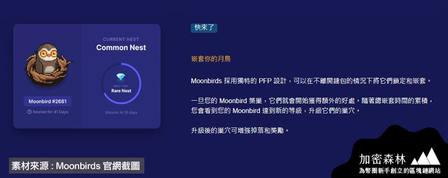 【NFT熱門焦點】完整解析Moonbirds如何空降NFT市場，僅花四天總市值已突破2億美金