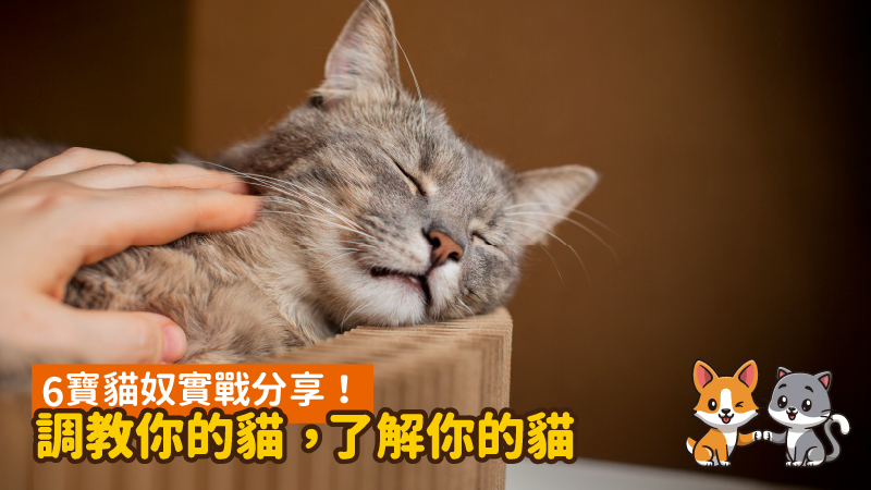 工作區域 8 100 2