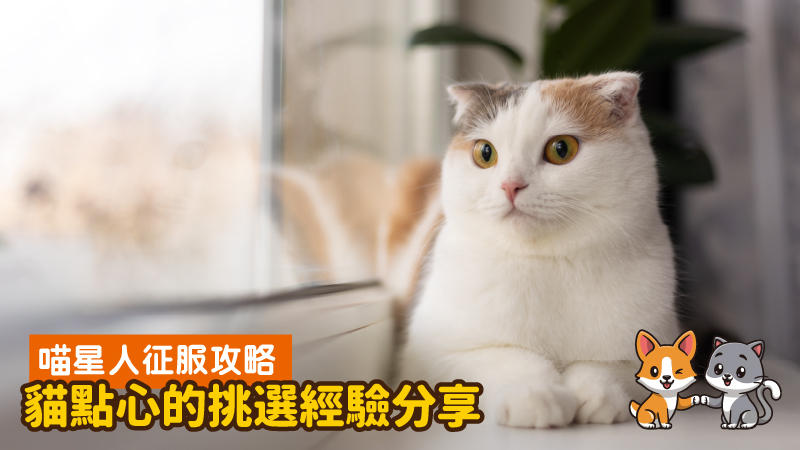 工作區域 8 100