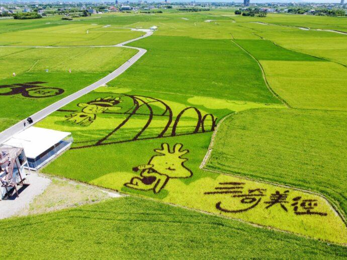 2022「穗在宜蘭 夏夜花火」將開跑　邀您一起探訪五十二甲溼地、三奇美徑