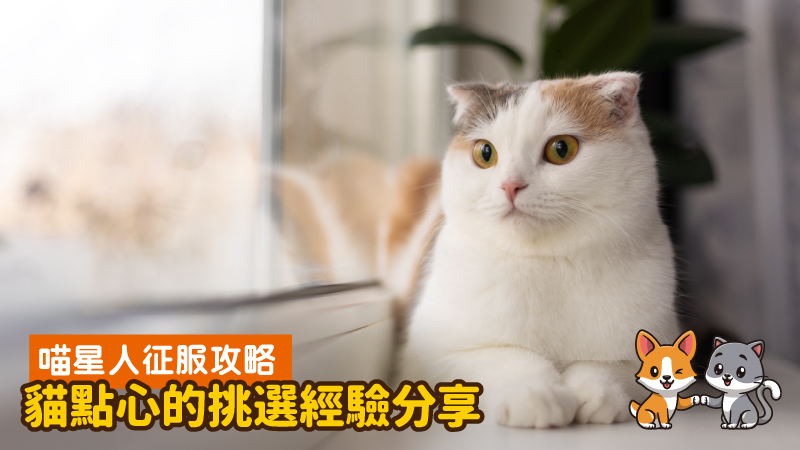 喵星人征服攻略-貓點心的挑選經驗分享 - 台北郵報 | The Taipei Post