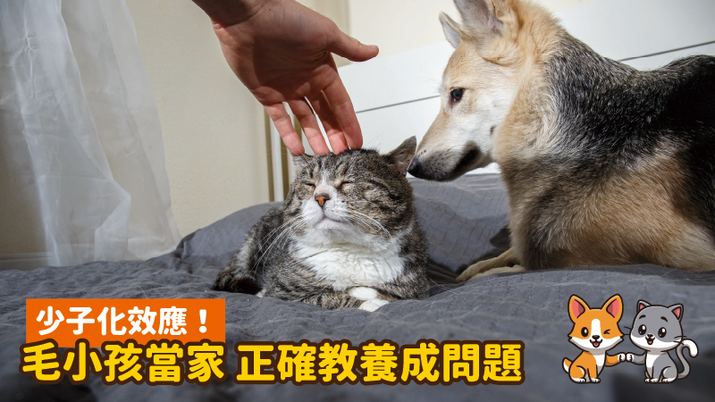 工作區域 8 100