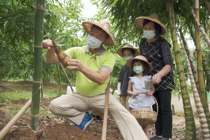 夏季品嚐觀音山的綠竹筍 正是時候 點餐出示圖片即享優惠