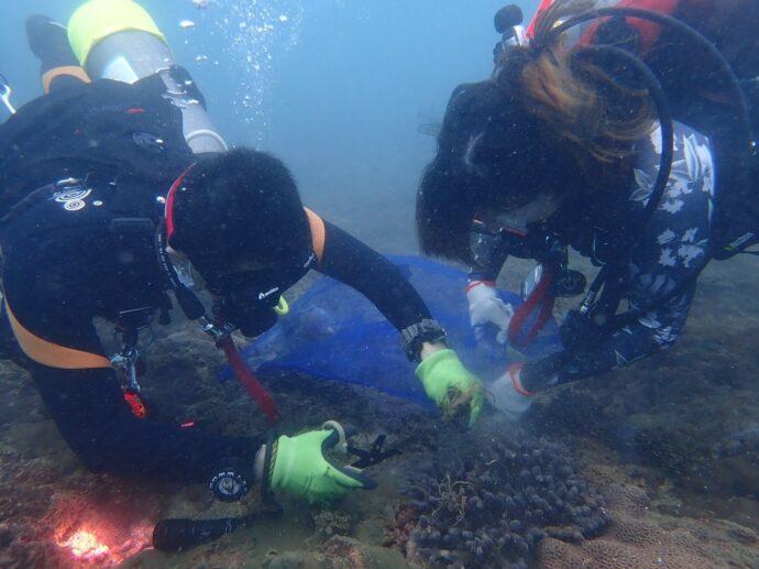 基隆玩不完!「島嶼生活節」7月23日登場 3大主題8種活動沈浸療癒你