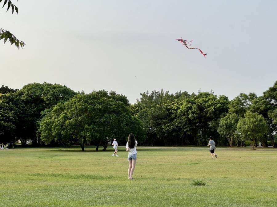 崙坪客家音樂村「HAKKA謠謠」夏日鬆爽登場！