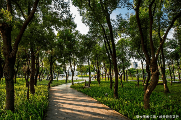氧生宜居指標 桃園風禾公園旁稀有光合宅