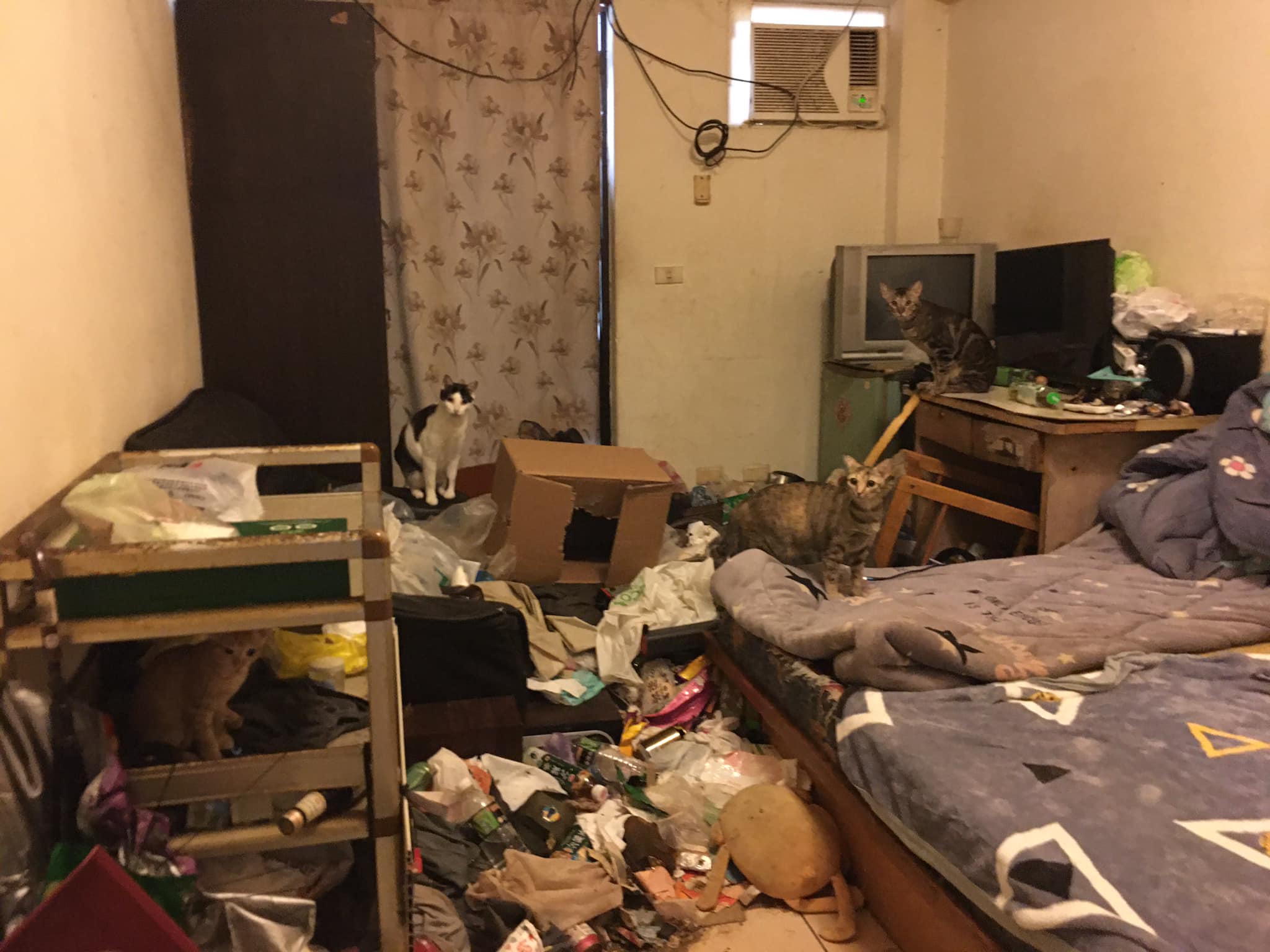 救助採訪工作的難，難在哪裡？