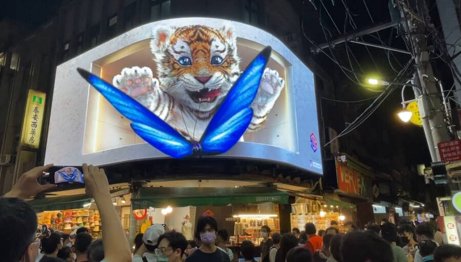 火箭升空 大型萌虎超吸睛　戶外裸視3D動畫 驚豔登場！