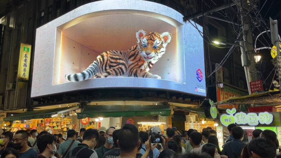 火箭升空 大型萌虎超吸睛　戶外裸視3D動畫 驚豔登場！
