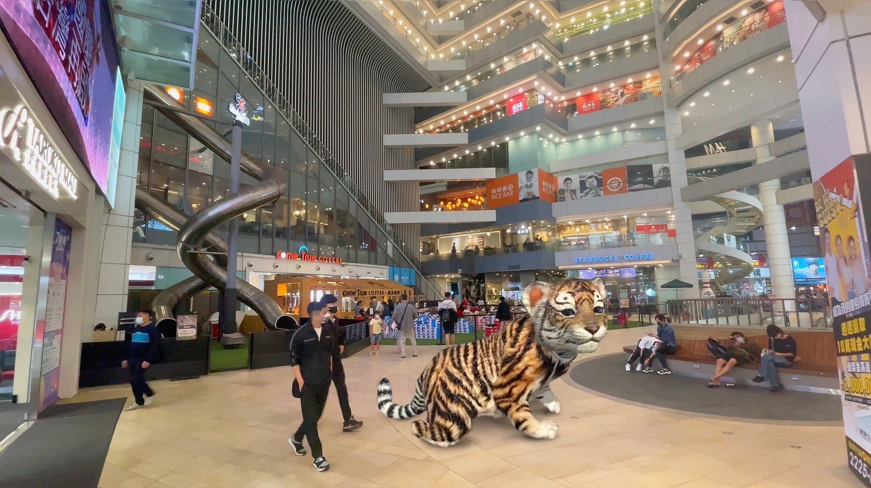 雙十國慶台灣再啟第四站 沙漠魚偕同City TV與全台同樂