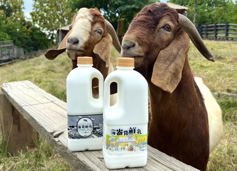 世界動物日 壽山動物園公佈開園主視覺 開園紀念T恤10/7起開賣