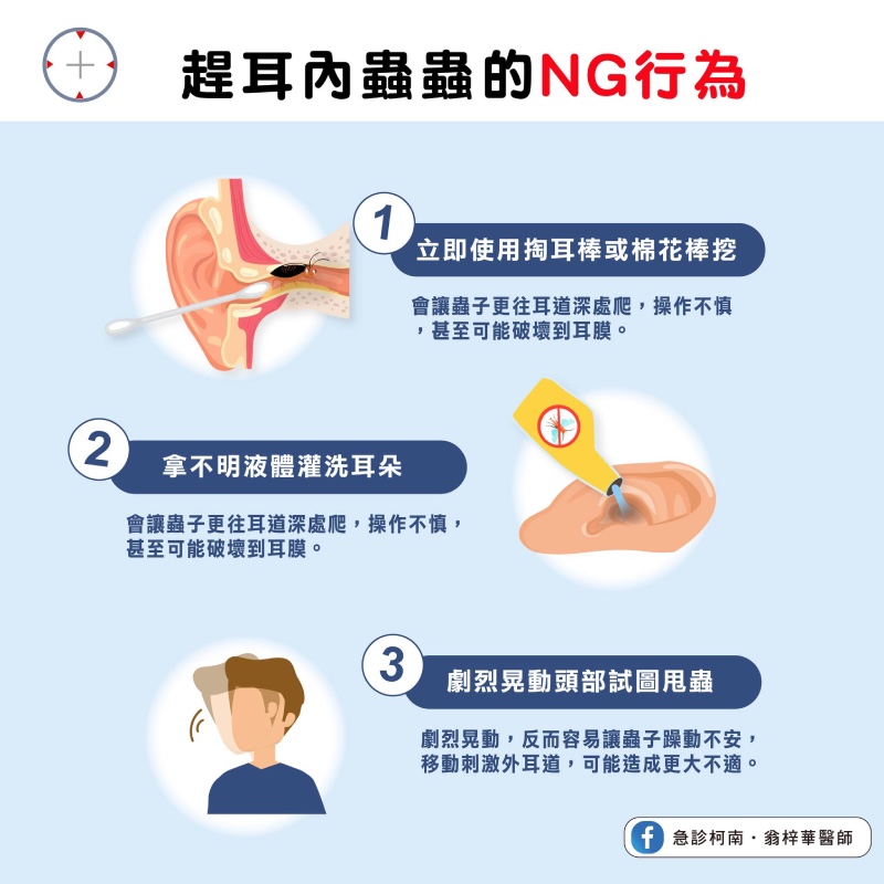 小蟲跑到耳朵怎麼辦？醫：避免3大NG行為！正確「除蟲」方法這樣做
