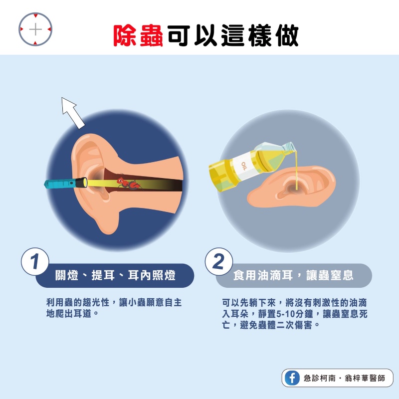 小蟲跑到耳朵怎麼辦？醫：避免3大NG行為！正確「除蟲」方法這樣做