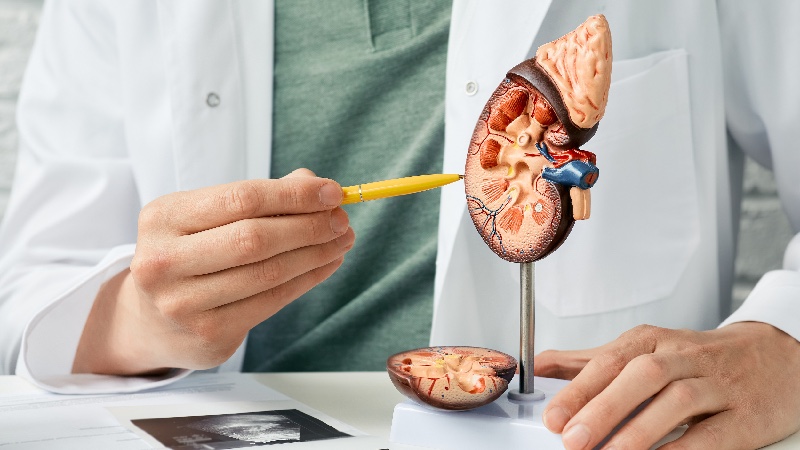 腎功能異常代表要洗腎？醫：掌握「3方法」可延緩惡化
