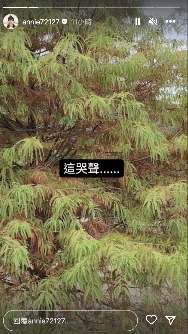 露營隔壁嬰兒哭整夜！百萬網紅魚曝錄音「揭關鍵」：不是不體諒媽媽