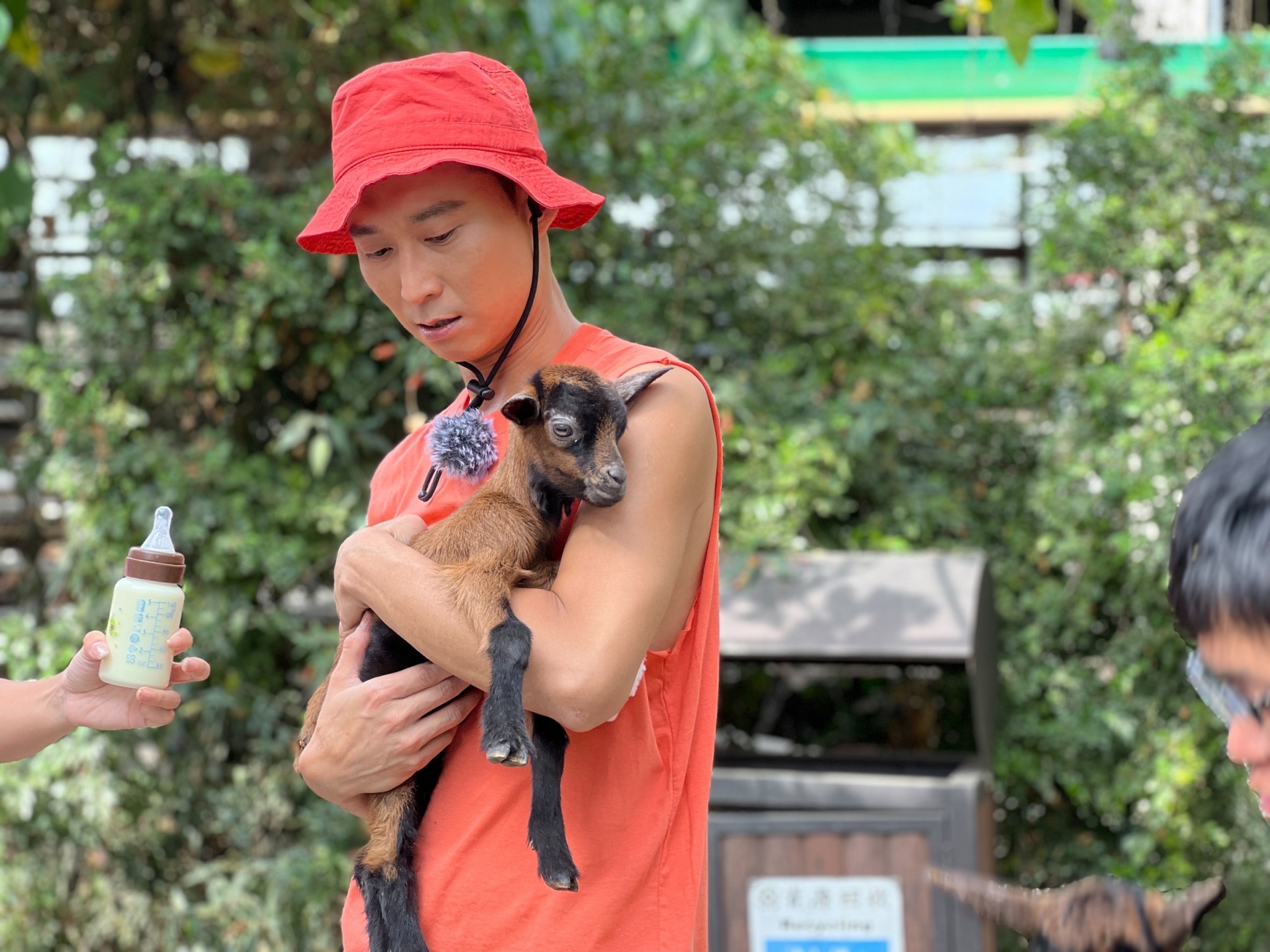 幫羊剪指甲遭踢重要部位⋯無尊瞬間面露猙獰「原地結紮」