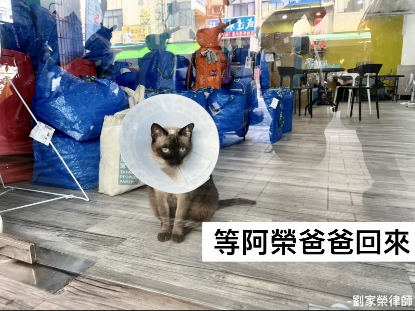搶救聲中劉家榮的毛小孩萌照 反成為選民關注焦點