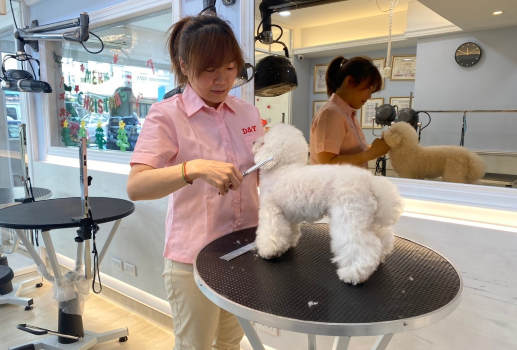 產官學研多元合作 打造全台灣寵物LINE生活圈