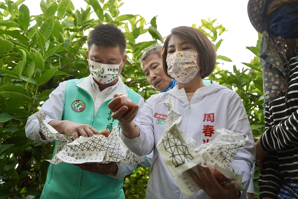 屏東寒害蓮霧落果 周春米上任即赴產區了解