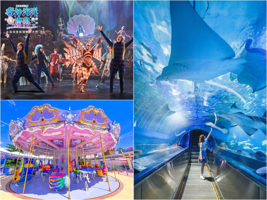 遠雄海洋公園20週年慶！互動式「鯨嶼島APP」讓夢想啟航