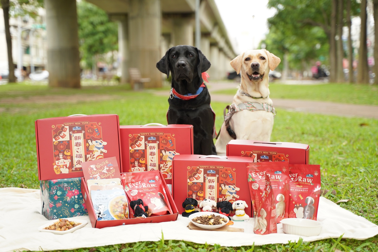 疫情下導盲犬難關重重！誤食口罩醫療費逼近30萬　知名寵物品牌暖推公益禮盒
