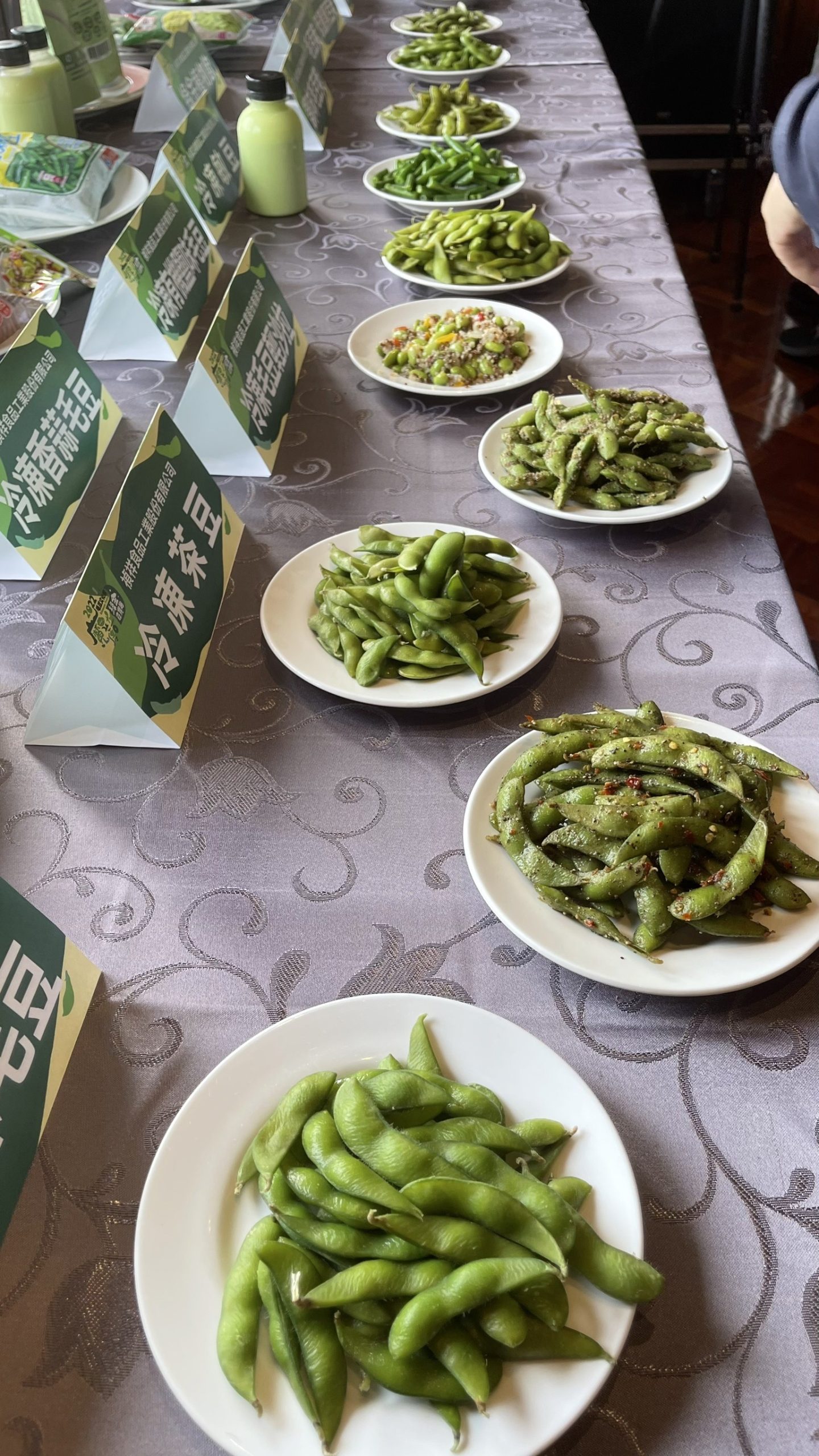 毛豆文化祭「魔豆傳奇」 12/10黃金、平板電腦等你來尋寶