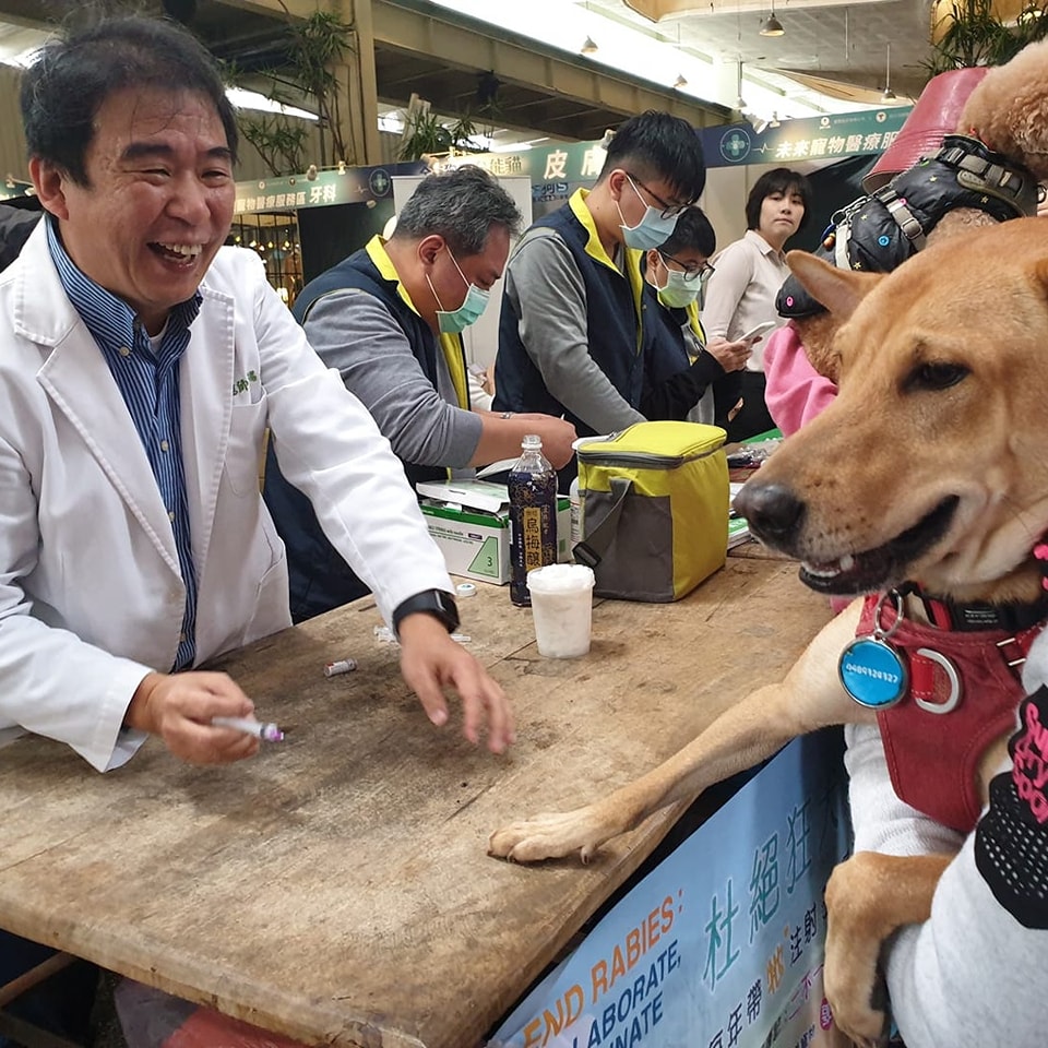 波波錢包送虎迎兎元宇宙再躍進 攜手Pet Talk、台南晶英酒店各推寵愛毛小孩、飯店餐飲福利賦能NFT