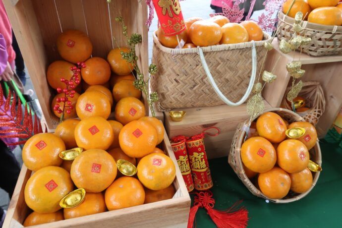 一月花博農民市集 虎歲喜結豐收果 兔年欣開幸福花 一月花博農民市集 虎歲喜結豐收果 兔年欣開幸福花