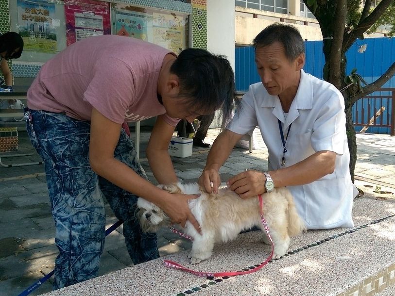 毛小孩狂犬病疫苗開打 未施打飼主裁罰3萬元